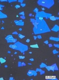 Structural Color Powder microscopy, blue series, 50x magnification