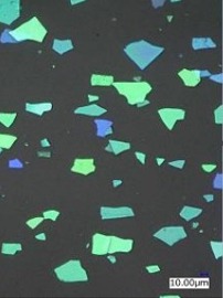 Structural Color Powder microscopy, green series, 50x magnification