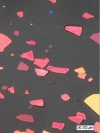 Structural Color Powder microscopy, red series, 50x magnification